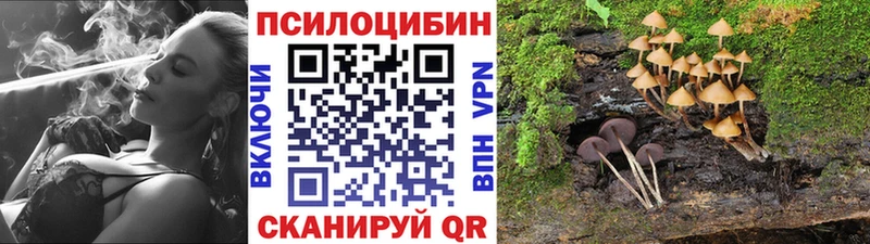 Галлюциногенные грибы мухоморы  маркетплейс какой сайт  Полярный 